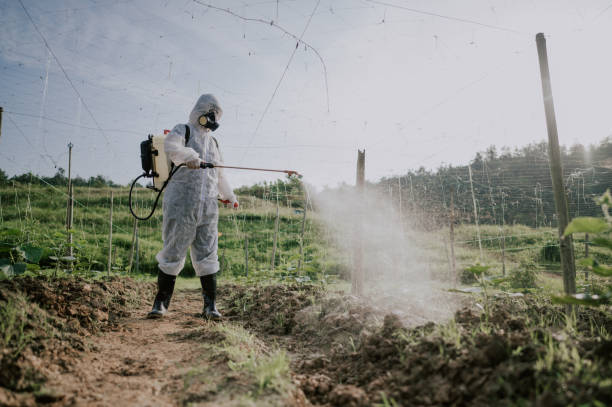 Best Best Pest Control Companies  in Overlea, MD