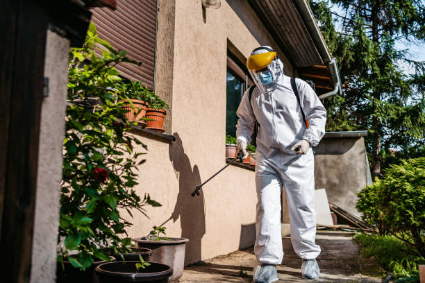 Best Best Pest Control Near Me  in Overlea, MD