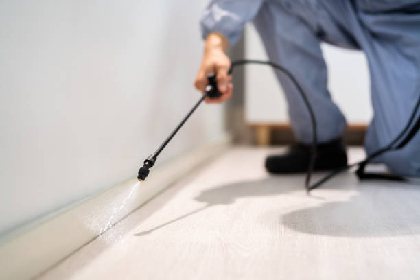 Wildlife Control Services in Overlea, MD
