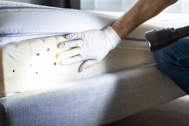 Best Pest Inspection Near Me  in Overlea, MD
