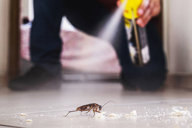 Best Emergency Pest Control  in Overlea, MD