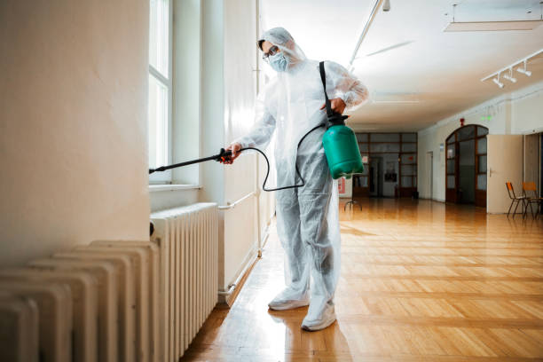 Professional Pest Control in Overlea, MD