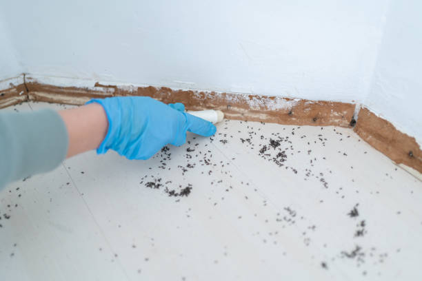 Best Commercial Pest Control Services  in Overlea, MD